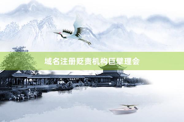 域名注册贬责机构巨擘理会