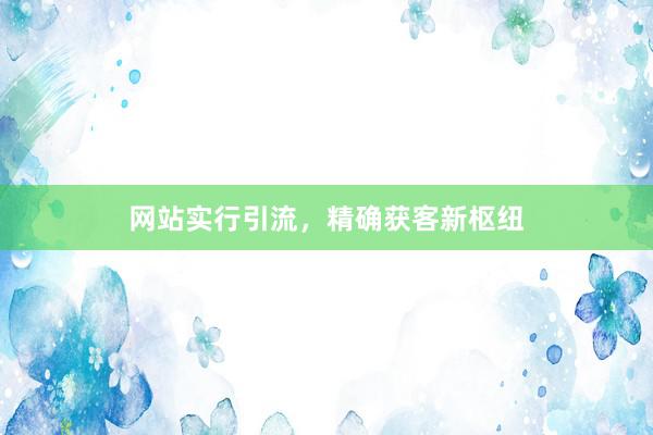 网站实行引流,精确获客新枢纽